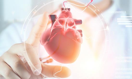 2023年人造器官行业市场需求 人造器官行业市场发展策略研究