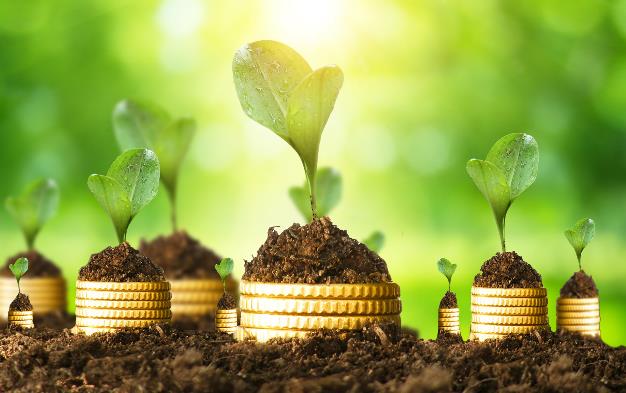 碳达峰实施方案扩大绿色金融规模 绿色债券发展驶入“快车道”