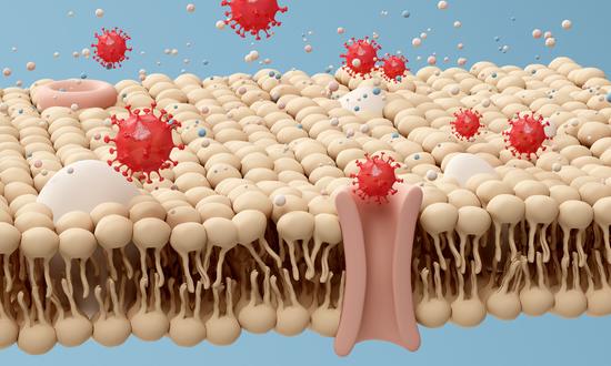 2023重组蛋白质产业报告:重组蛋白质行业发展前景和趋势