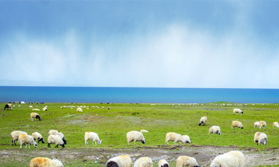 青海省旅游行业发展如何 青海省旅游行业市场投资潜力