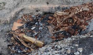 生物质炭行业市场投资前景如何?  2023年中国生物质炭产品业发展前景分析