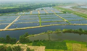 2023年水产养殖行业市场投资风险分析 水产养殖行业集中度会进一步提升