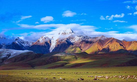 2023贵州旅游业市场现状及前景分析