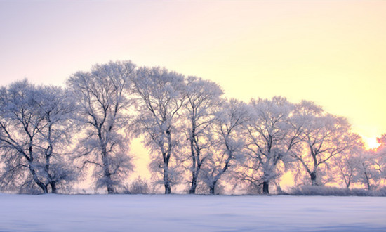 融雪剂行业市场需求趋势 融雪剂行业未来发展方向