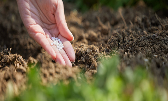 氮肥市场供应现状 2023全球氮肥市场前景研究分析