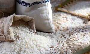 有机大米行业供需趋势与有机大米市场投资分析2023