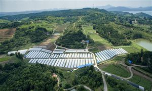 2023年农村信用社行业现状分析