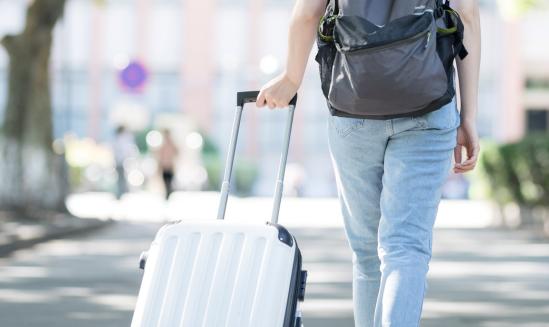 2023年中国拉杆箱行业市场投资价值评估