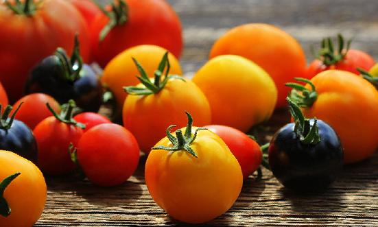 番茄红素行业市场调研与投资潜力研究报告2023