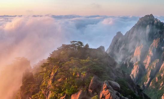 深度“悦己”成女性消费趋势 女性消费市场数据分析