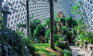 2023植物园行业现状与市场发展前景趋势分析