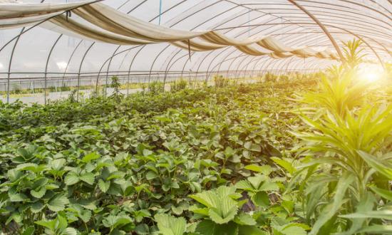 2023农业机械服务行业调研及市场规模分析