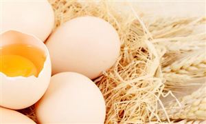 畜牧服务行业市场发展趋势预测报告2023