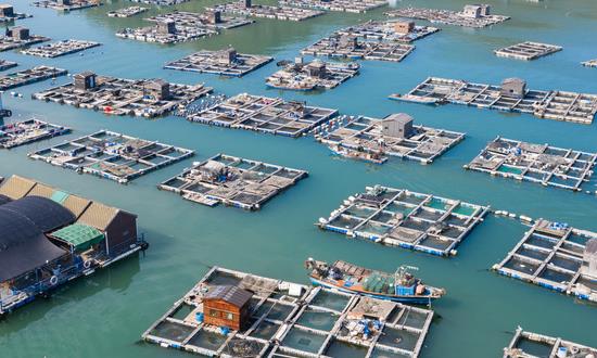 生鲜O2O行业分析报告2023生鲜O2O市场前瞻预测