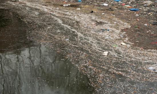 特种水泥行业分析 2023特种水泥行业市场规模及增速现状