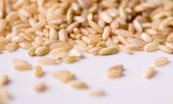 胚芽米行业现状发展趋势及行业现状分析2023