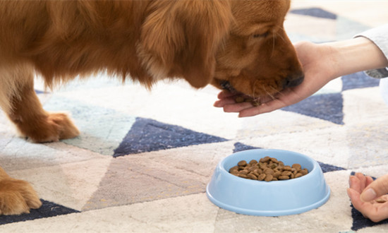 2025年我国宠物市场规模将达八千亿元 宠物饲料行业市场前瞻