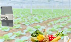 中国直播电商行业销售规模 直播电商行业竞争力分析