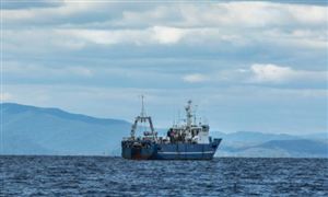 2023海洋信息产业深度调研及发展趋势分析