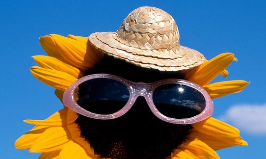 2023年太阳镜行业市场发展现状分析