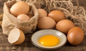 中国蛋鸡养殖产业集中度调查 蛋鸡养殖产业深度调研及未来发展现状趋势预测报告