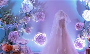 婚纱礼服市场深度调研2023