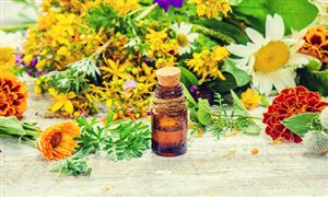 中药提取物行业分析 中药提取物行业市场竞争格局