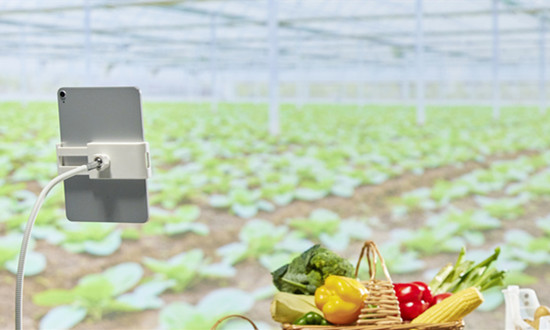 食品电商行业市场规模有多大 食品电商行业市场机会分析