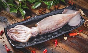 鱿鱼行业市场分析及发展前景预测2023