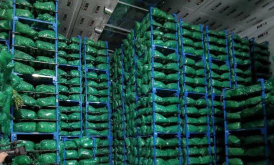 2023农业物流行业市场发展前瞻 农业物流行业投资前景及发展现分析