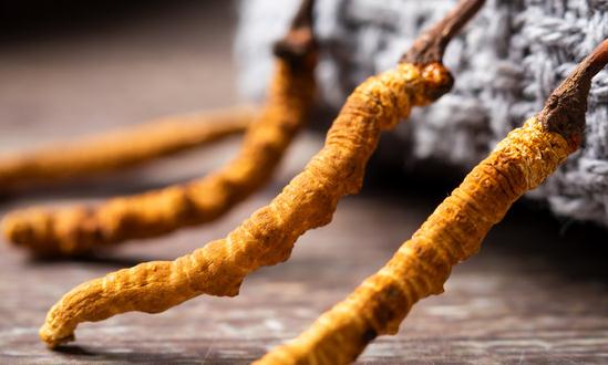 2023冬虫夏草行业发展现状及前景分析