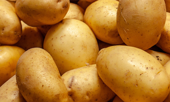 马铃薯淀粉行业市场全面分析报告2023