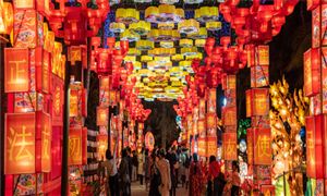 已认定1557项 国家级非遗代表性项目 民俗文化行业现状与发展趋势及前景预测报告