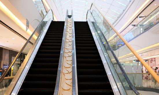 自动扶梯行业市场现状调研2023