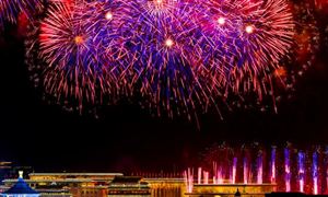 中国烟花爆竹行业市场需求 中国烟花爆竹行业发展趋势预测