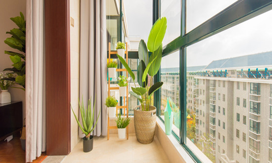 中空玻璃行业发展现状如何?中空玻璃行业未来趋势预测