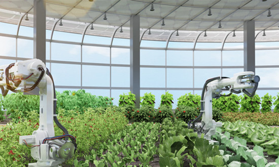 生物农业行业现状分析 生物农业行业发展策略