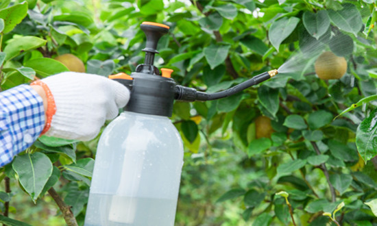生物农业行业现状如何 生物农药行业未来前景广阔