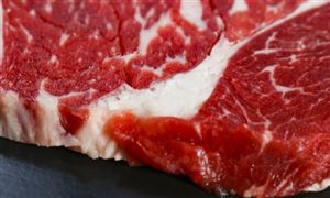 牛肉进口市场分析 牛肉行业市场发展现状投资分析2023