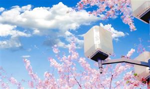 盲盒行业市场调研2023