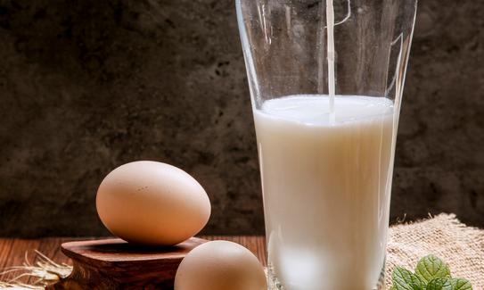 2023年中国蛋制品行业发展趋势及投资风险