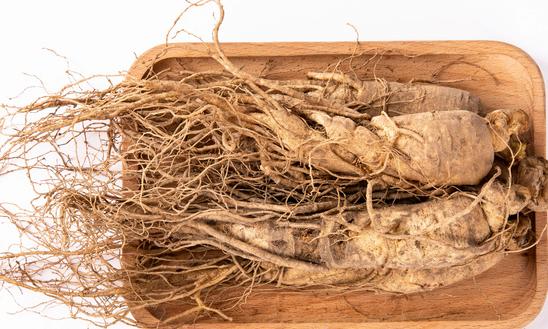 2023年人参种植产业发展现状分析