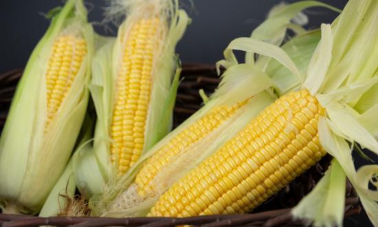 2023县域电商市场现状分析及发展前景预测报告