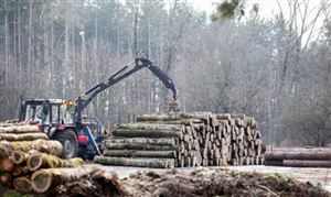 2023林业机械行业深度分析及投资前景