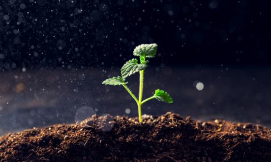 人造土壤行业发展现状及竞争格局分析报告