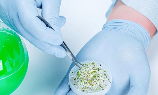 2023年中国生物农业行业市场深度调研