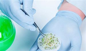 2023年中国生物农业行业市场深度调研