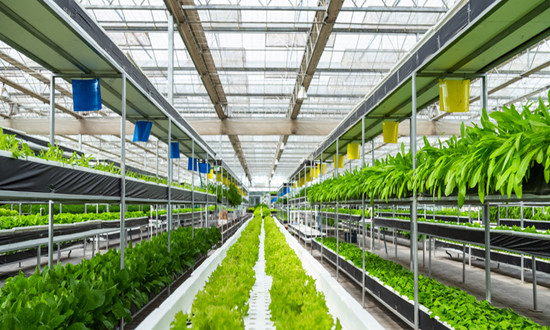 智能化设施农业行业发展趋势及发展前景分析