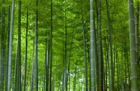 露营产品品类日益丰富 2023露营户外用品消费趋势调研