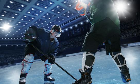 冰球行业报告 冰球行业市场现状调研2023